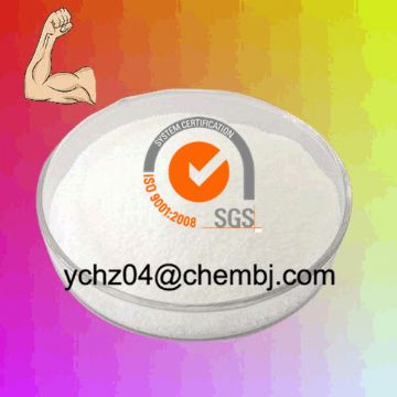 Steroid Hormone Testosterone Base  Muscle For Bodybuilding